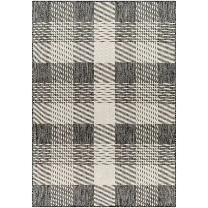 Emmeline Black/Ivory Outdoor Area Rug | Wayfair North America