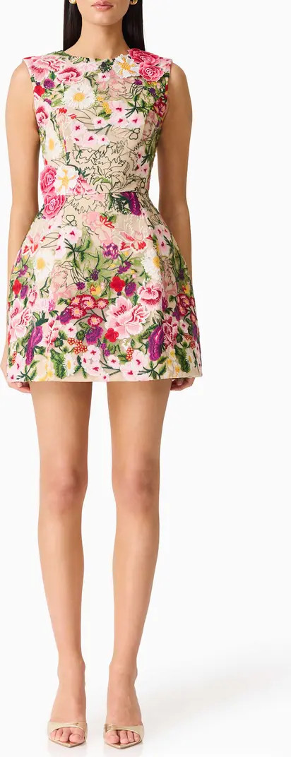 Floral Embroidered Tulip Skirt Minidress | Nordstrom