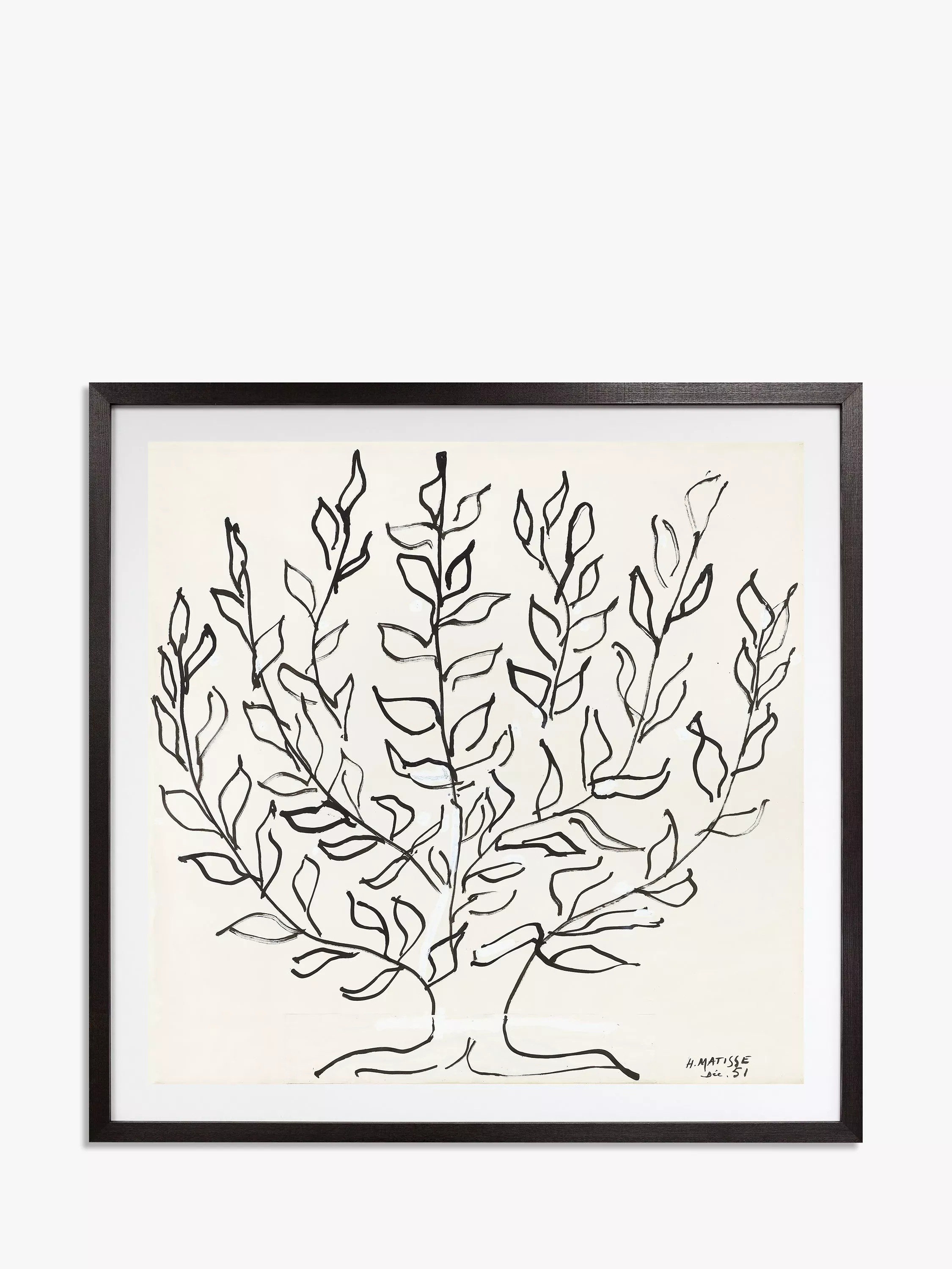 John Lewis Henri Matisse 'The Plain Tree 1951' Framed Print & Mount, 102 x 102cm | John Lewis (UK)