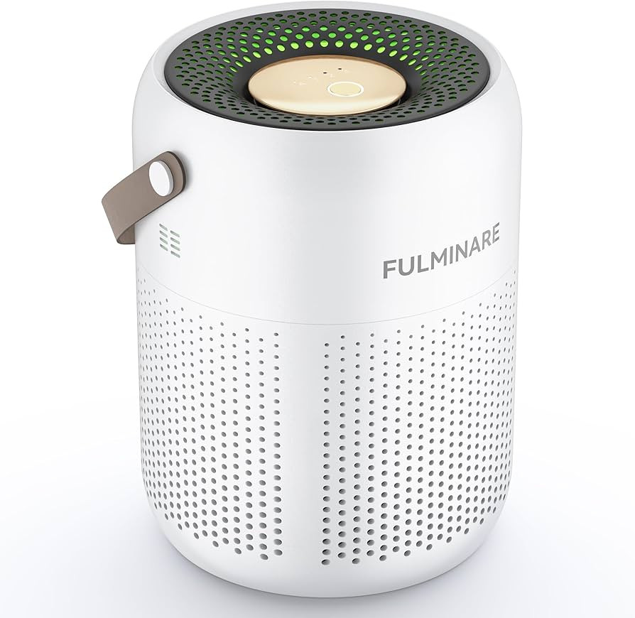 FULMINARE Air Purifiers for Home, H13 True HEPA Air Purifiers for Bedroom,Pets,Office, Portable S... | Amazon (US)