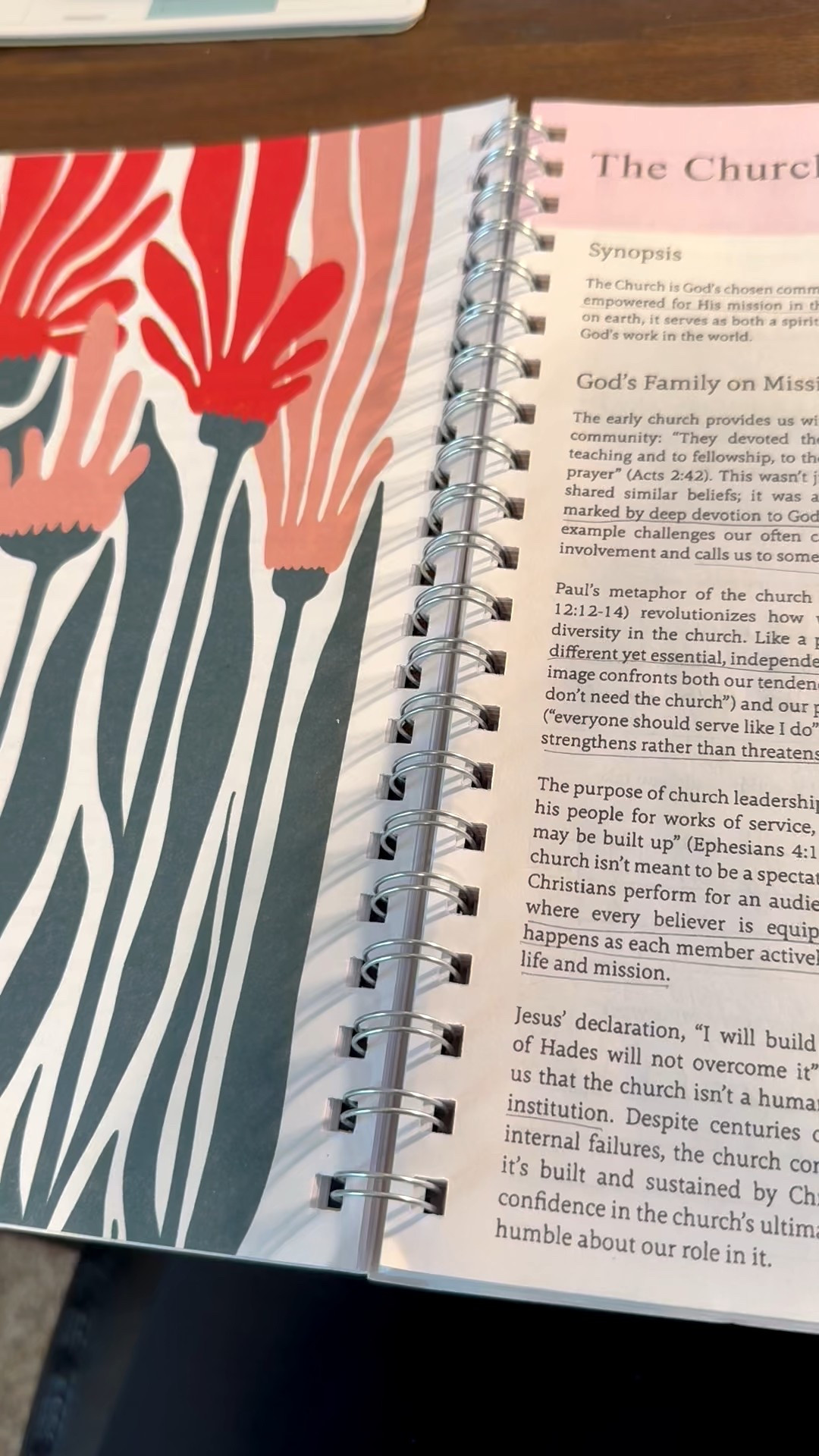This Bible study book would be such a good gift for any Christians in your life. The weekly lessons are based on one theme, like this week I'm learning about the church. The devotionals are insightful and easy to understand. Each day's reading is only a few verses - perfect for any busy women or people who are new to studying the Bible. Also, there is a full page for taking notes/writing out prayers!

Bible study book, Christian, study the Bible, devotional, Christmas gifts for Christians 

 #LTKGiftGuide #LTKHome