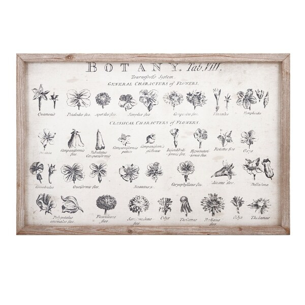 Botanical Wall decor | Bed Bath & Beyond