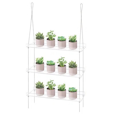 3-Tier Acrylic Window Boxes Plant Shelves For Windows, Acrylic Hanging Window Plant Shelves, Indoor Windows Wall Hanging Plant Stand Flower Display Sh | Wayfair North America