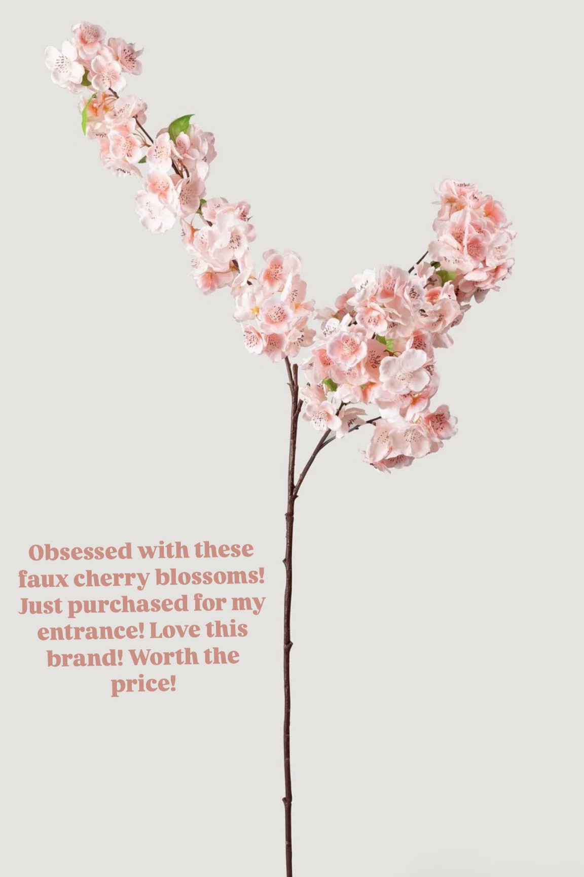 Faux cherry blossoms 

#LTKHome