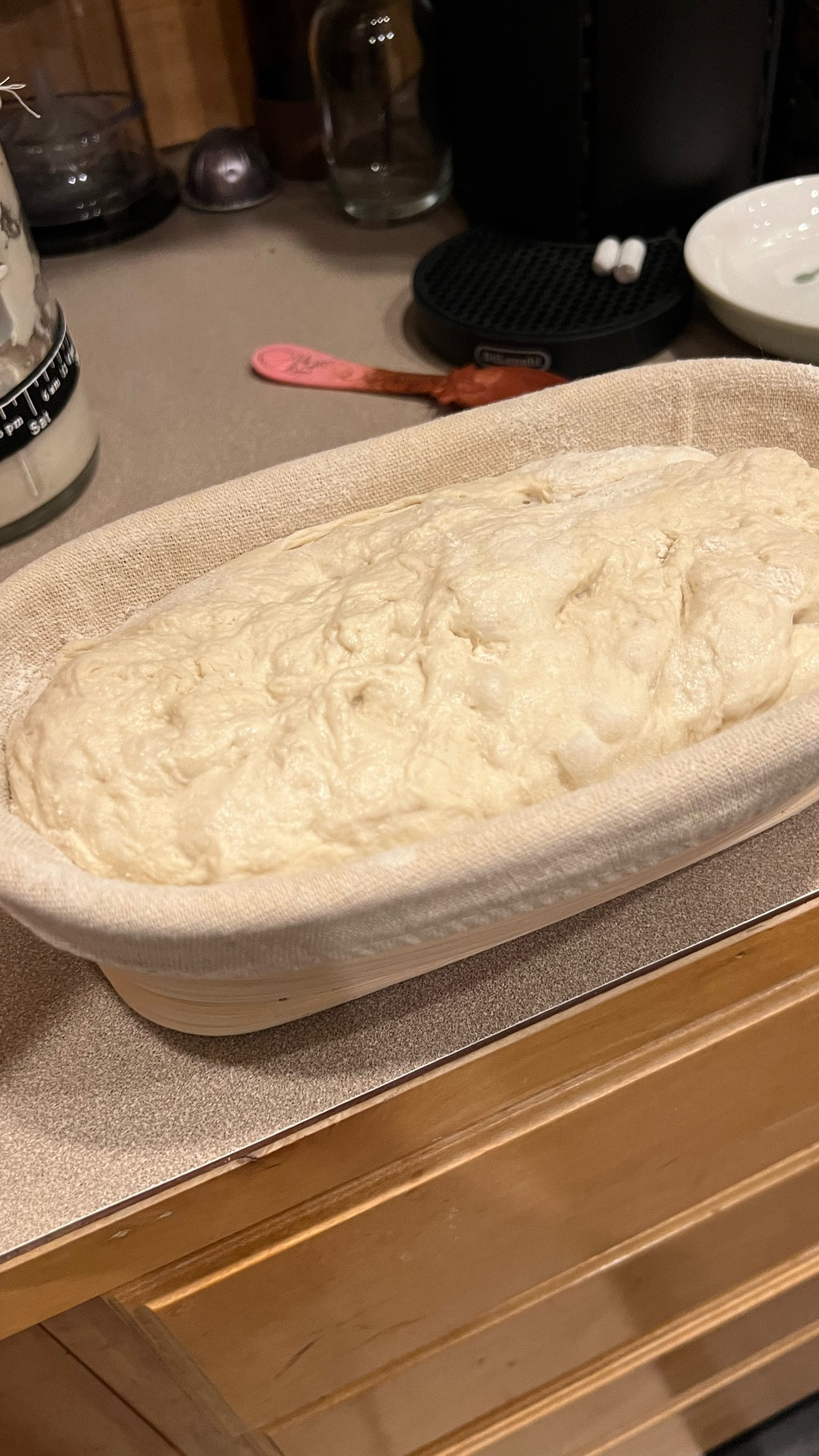 Day 3 of my 14 day vlogging challenge was a busy one! 🍞 