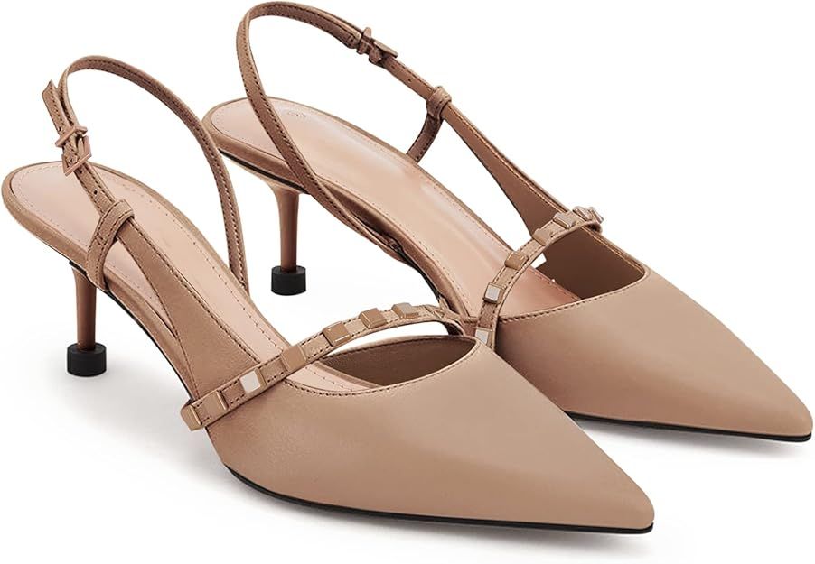Womens Low Kitten Heels Closed Pointed Toe Dress Shoes Slingback D'Orsay Rivets Buckle Elegant We... | Amazon (US)