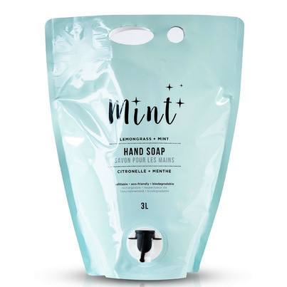 Mint Cleaning Hand Soap Refill Party Pouch | Well.ca