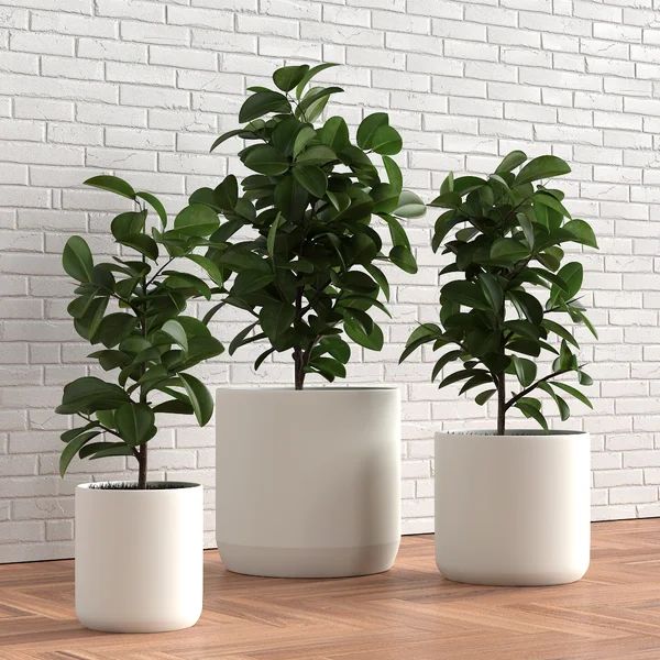 3 Piece Ceramic Pot Planter Set | Wayfair Professional