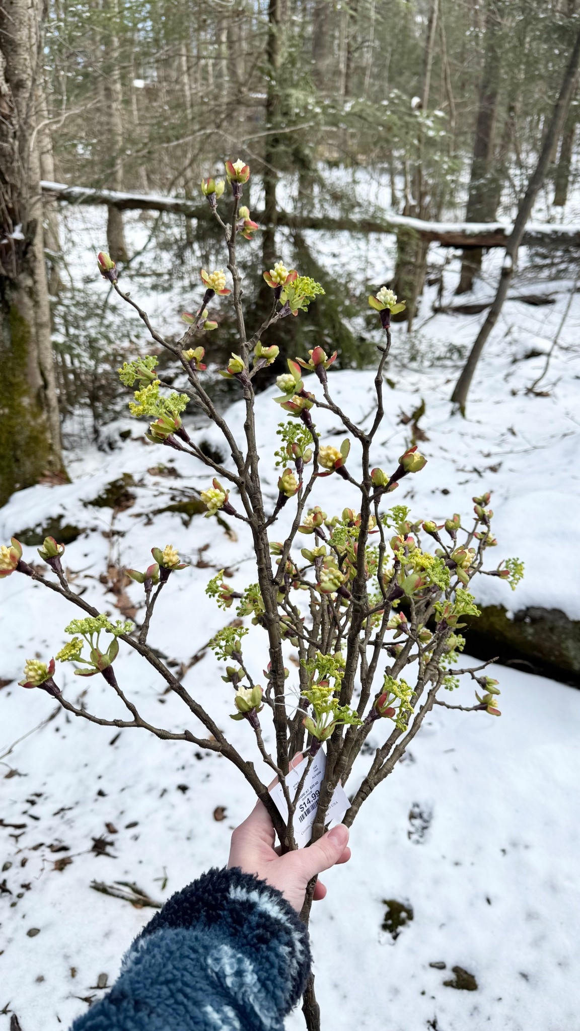 Sharing these stems this week! I found them at Homegoods - 
Department 45
Style 844804
$14.99 each! 
I linked the same ones online! 

#LTKSpringSale #LTKHome #LTKSeasonal