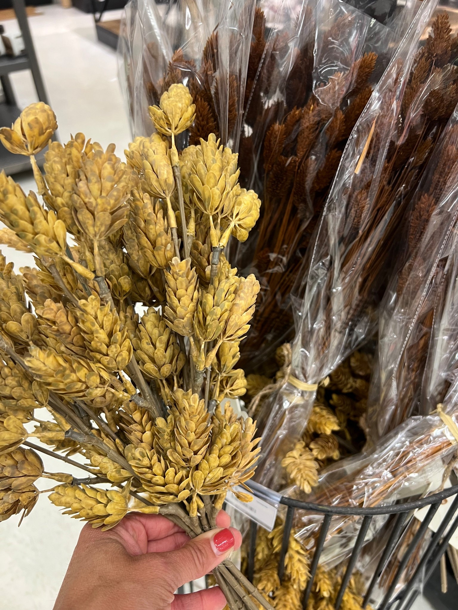 It’s that time for faux fall plants + stems

#LTKautumn #LTKSeasonal #LTKHome