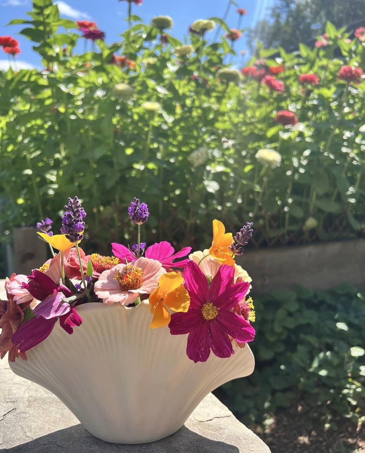 If you’re looking to change up your flower arrangements this year, this shell vase was such a fun one to use! I loved mixing different garden blooms in it and seeing how each combination turned out 🌸💐

#LTKHome #LTKSaleAlert #LTKSeasonal