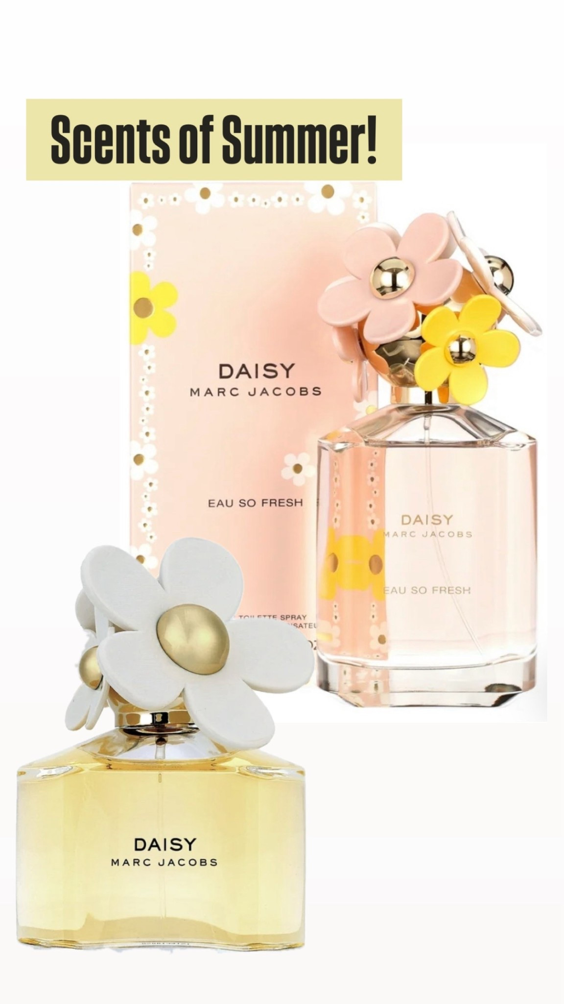 Popular scents for summer! These are on insane discount & you’ll love the smell!

#LTKmorningroutine #LTKdayinmylife #LTKootd