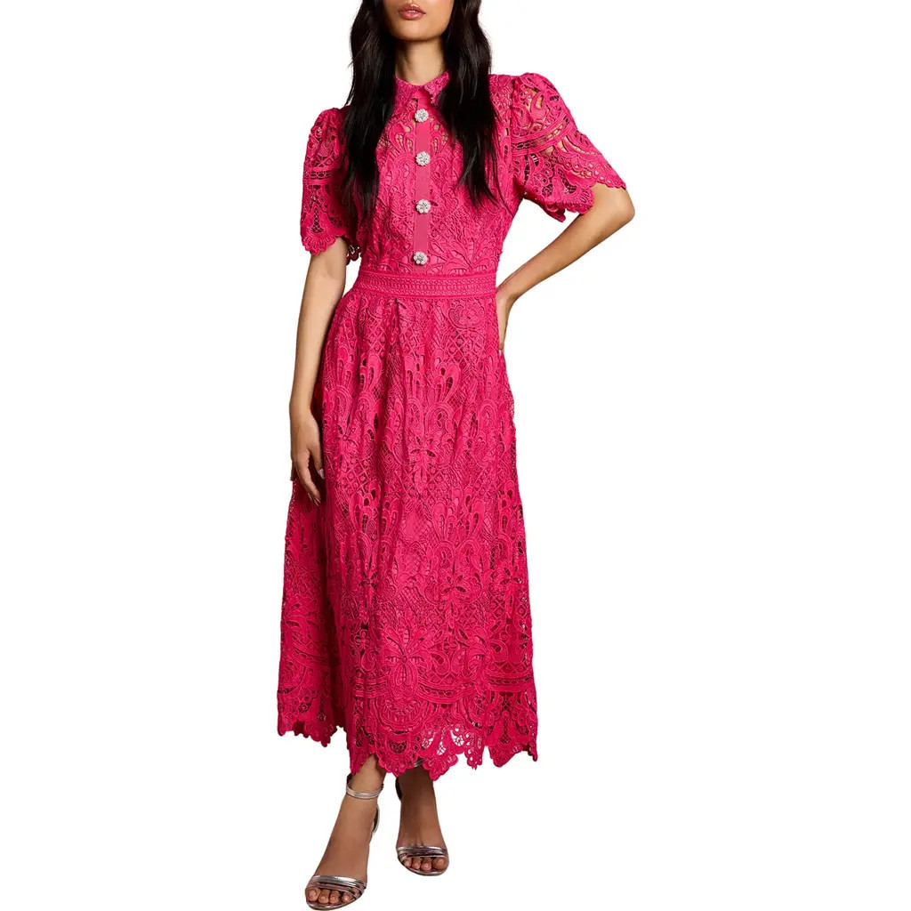 Coast Short Sleeve Collared Lace Midi Dress in Raspberry at Nordstrom, Size 4 | Nordstrom