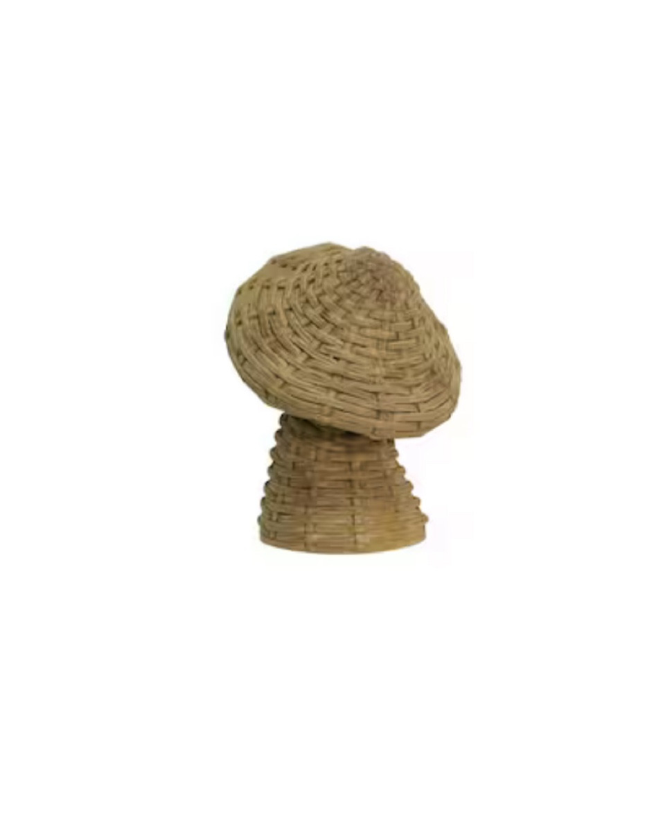 Idk about you but I found these little mushrooms so cute at Michael’s today #shabbychic 

#LTKunder50 #LTKhome #LTKSeasonal