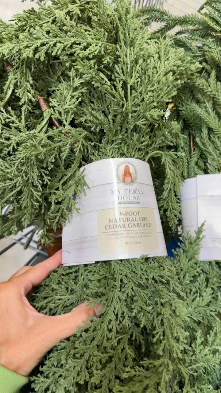 The best garland! Christmas home decor. Christmas garland. Walmart home. Walmart Christmas garland. Walmart my Texas house garland. High sell out risk Walmart Christmas home decor.

#LTKHome #LTKSeasonal #LTKstorytime