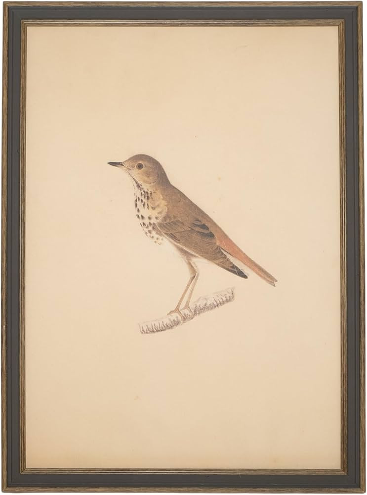 Visit the Store, Petal Lane Home    Petal Lane Home      Visit the Store | Amazon (US)