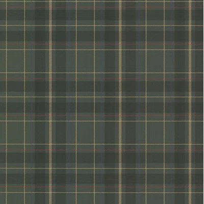 Candice 33' x 20.5" Wallpaper Roll | Wayfair North America