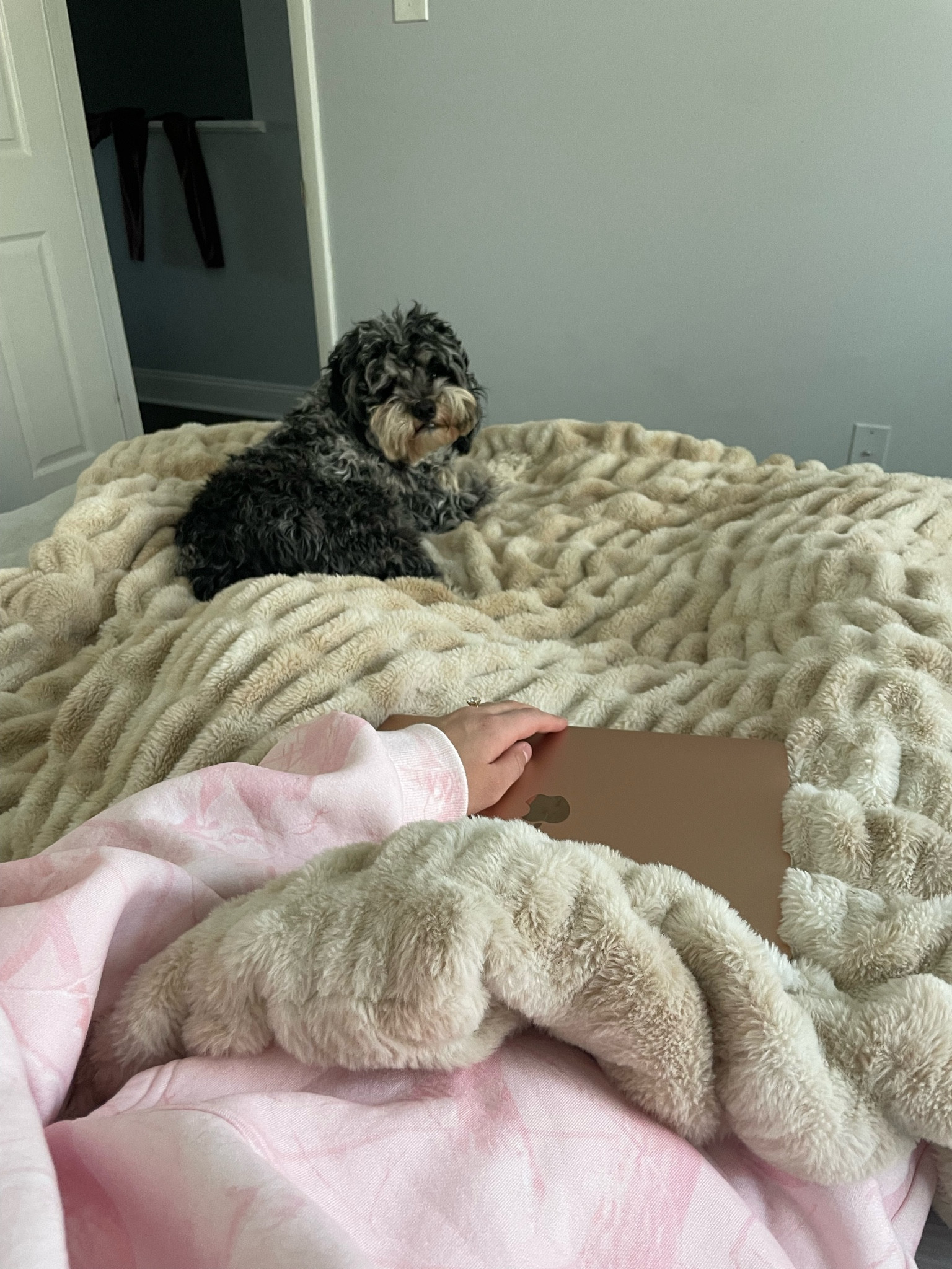 Wallys and my favorite blanket 