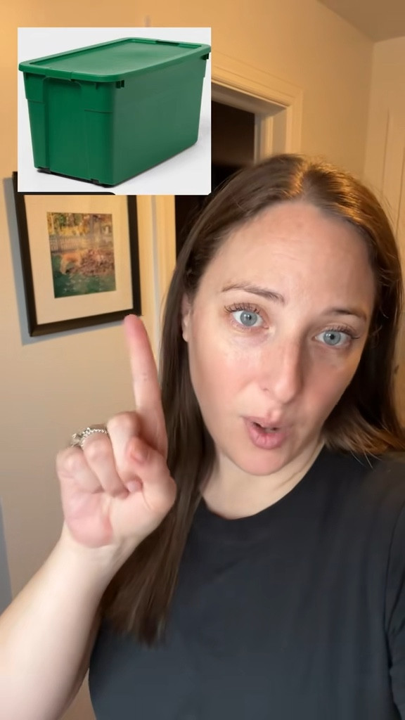 Holiday Storage Tips from a professional organizer! 

#LTKHome #LTKHoliday