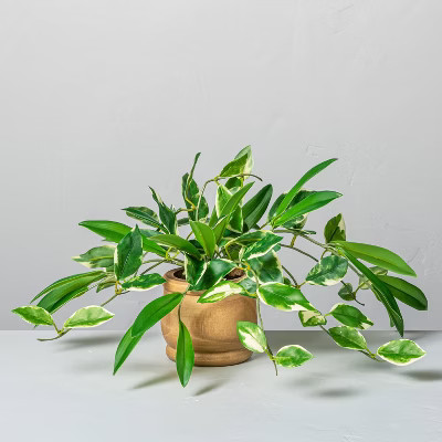 7" Mini Faux Hoya Potted Plant - Hearth & Hand™ with Magnolia | Target