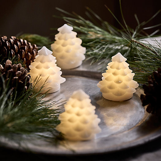 Lit Wax Evergreen Trees, Mini Set of 4 | Terrain