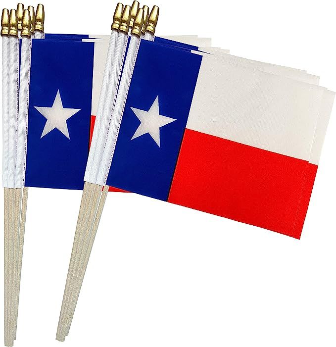 TSMD Texas Stick Flags Small Mini Hand Held State Flags,5x8 Inch,12 Pack | Amazon (US)
