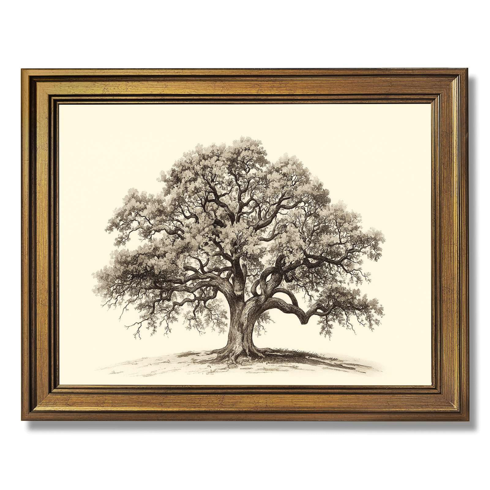Framed Vintage Oak Tree Poster Canvas Print Art, Pictures Wall Decor, Painting Art Print, Rustic ... | Amazon (US)