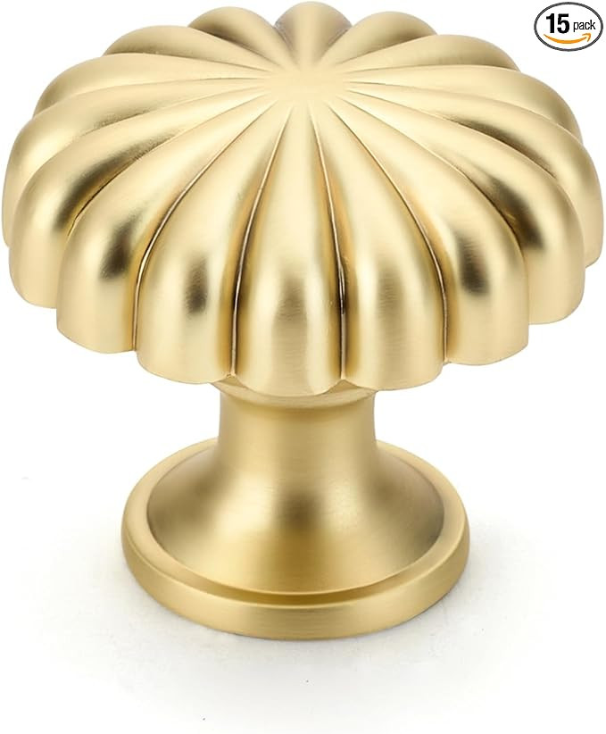 15 Pack Gold Cabinet Knobs, Zinc Alloy Brushed Brass Drawer Knobs Hardware for Kitchen Cabinets, ... | Amazon (US)