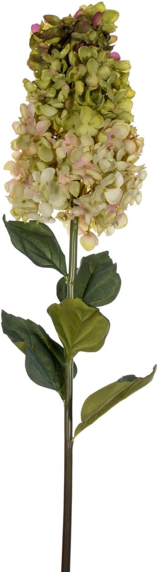 Vickerman 35.5" Light Green Artificial Cone Hydrangea Spray, 2 per Bag. | Amazon (US)