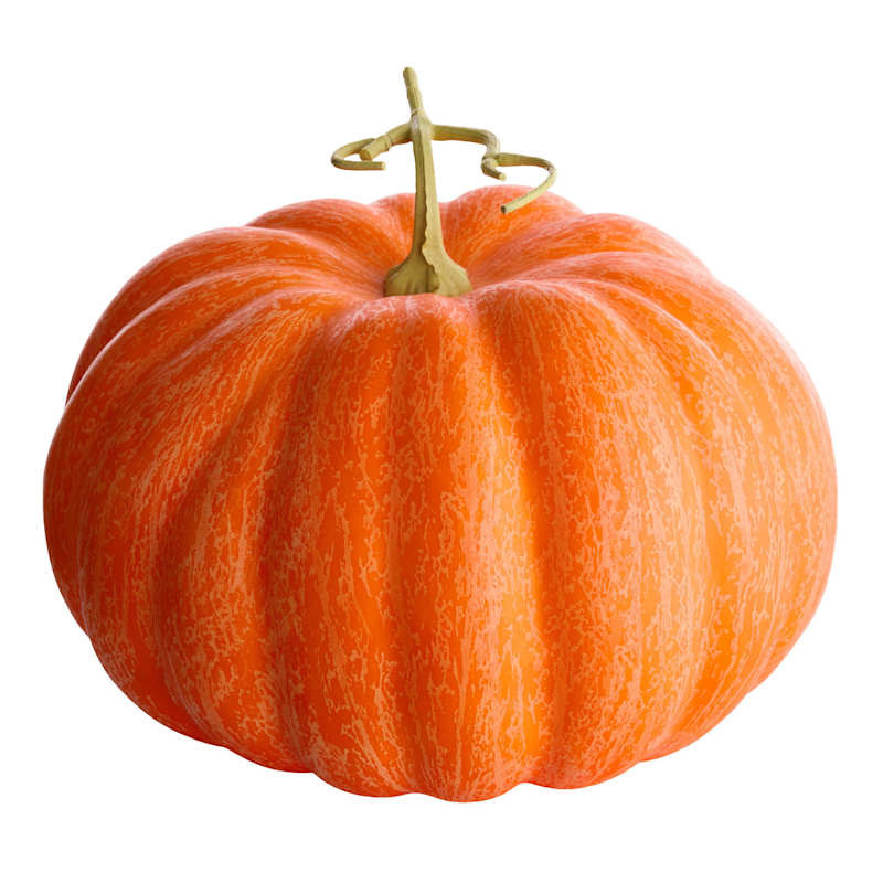 Orange Pumpkin Decor, 11.8" | At Home