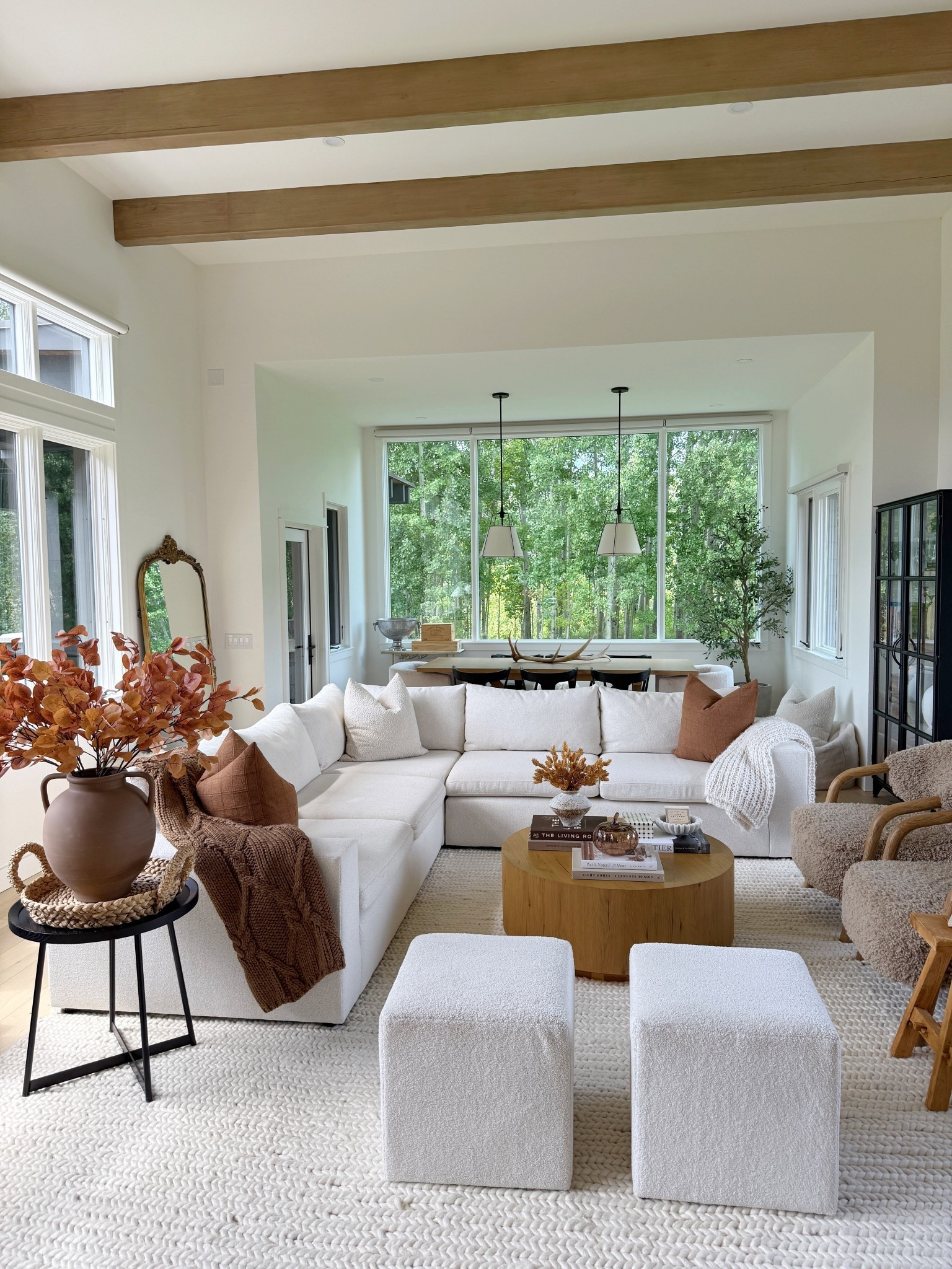 Pops of brown for a fall living room refresh!🍂🤎

Target
Amazon
Home decor 

#LTKFindsUnder50 #LTKHome #LTKSeasonal