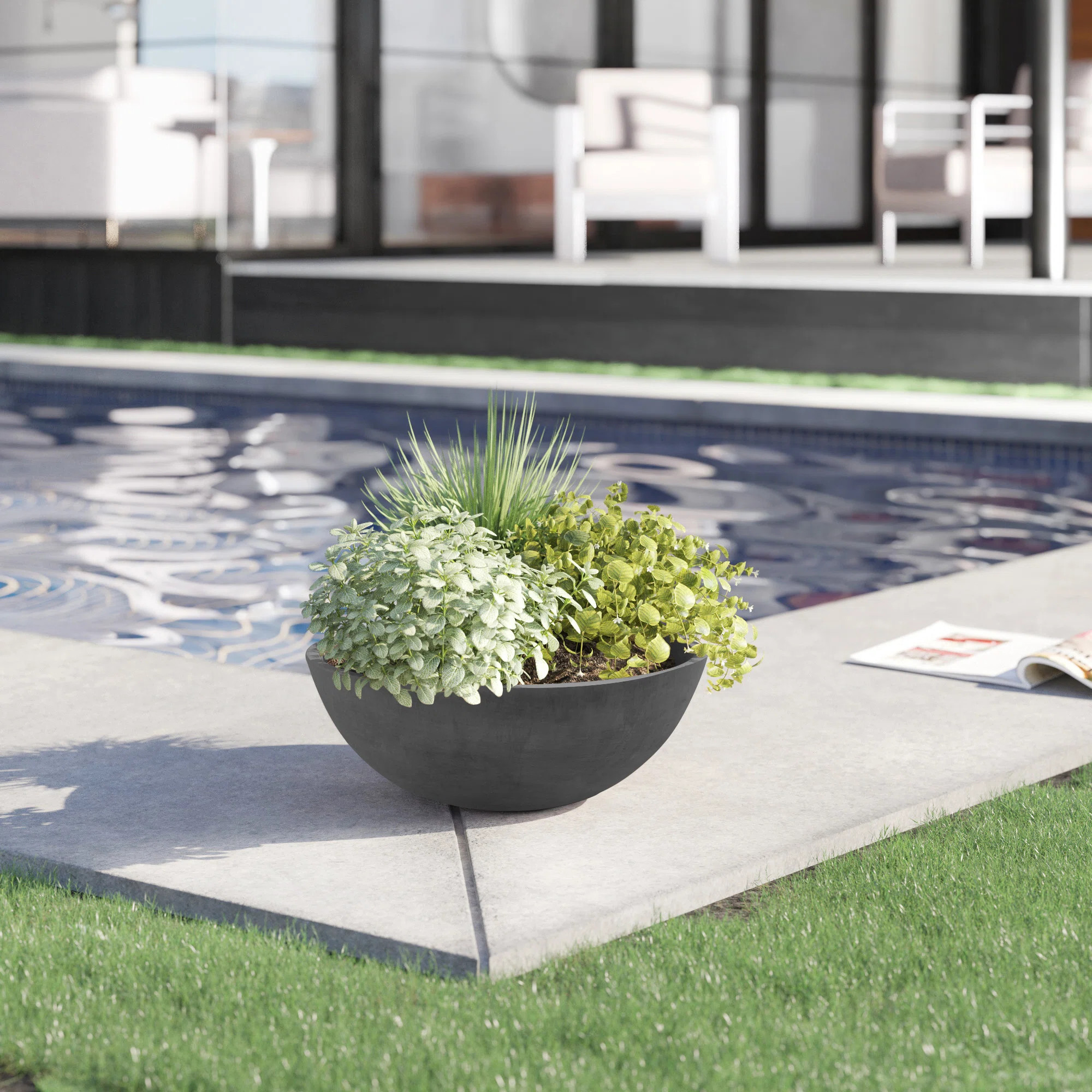 Haven Pot Planter | Wayfair North America