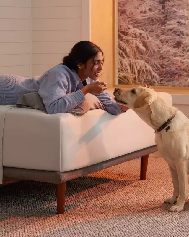 Purple Mattress | Purple