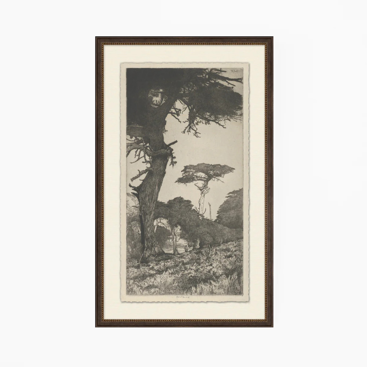 Tree Tops 6 | Stoffer Home