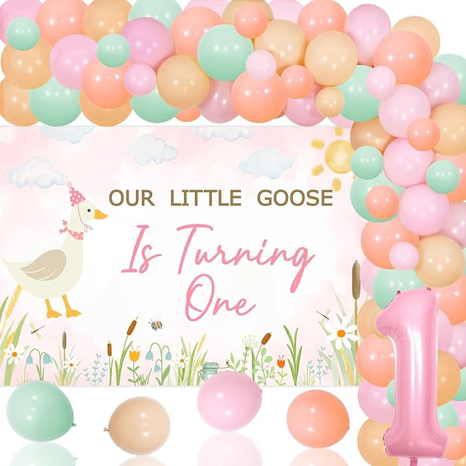 Goose 1st Birthday Party Decorations Pink Our Little Goose Is Turning One Backdrop Balloon Garlan... | Amazon (US)