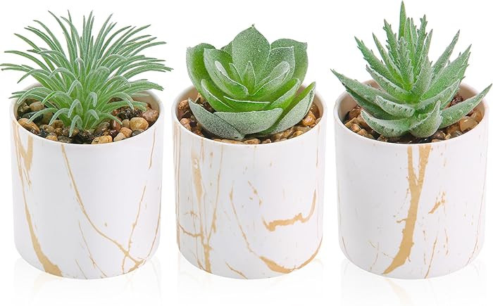 Der Rose 3 Pack Small Fake Plants Succulents Plants Artificial in Pots for Home Office Desk Decor... | Amazon (US)