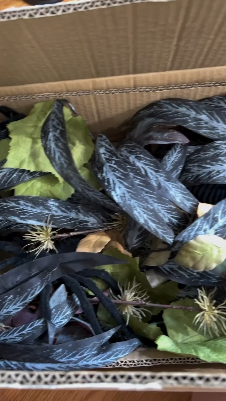 I am loving this garland! Again, another Halloween find but this will stay up year round! The colors are stunning and the little spiders are the perfect spooky touch. Ignore the popcorn ceiling and white wall 🤣 I still have to get more ceiling tiles to match the rest downstairs and decide on a wallpaper for the coffee station 

#halloweenhomedecor #hauntedmansion #thehauntedmansion #coffeestation #coffeestationdecor #coffeebar #coffeebardecor #coffeebarideas #everydayishalloween #diyhomedecor #diyhomeprojects 

The haunted mansion, garland, Halloween, home decor, diy, spooky, spider, ghost host, hatbox ghost, coffee bar, coffee station

#LTKhome #LTKSeasonal #LTKGiftGuide