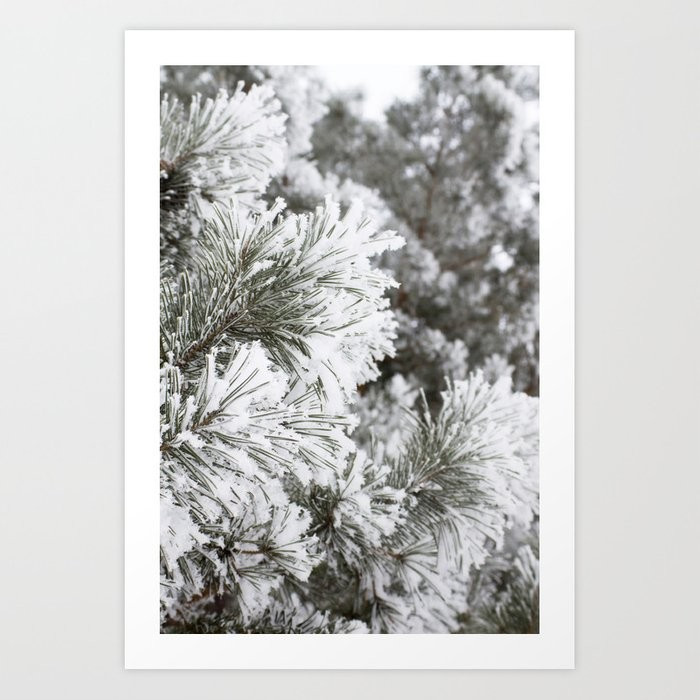 Dressed in Frost Art Print | Society6