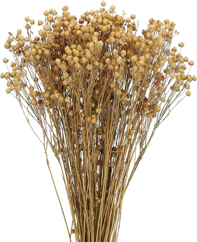 XHXSTORE 4 Bundles Natural Dried Flowers Bouquet Brazilian Small Dried Star Daisy Flowers Yellow ... | Amazon (US)