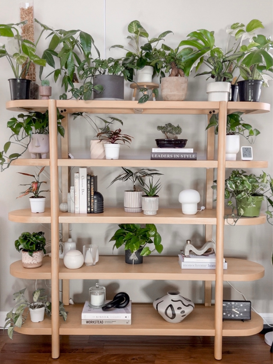 My new home office plant bookshelf!

#LTKU #LTKhome