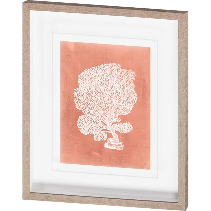 " Sealife On Coral VIII By Vision Studio Hand Embelished Textured Framed Art Print Matted Under G... | Wayfair North America