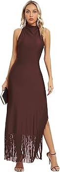 Aigeman Women Vintage Flapper Dresses 1920s Great Gatsby Halter Fringed Maxi Dress Tassels High S... | Amazon (US)