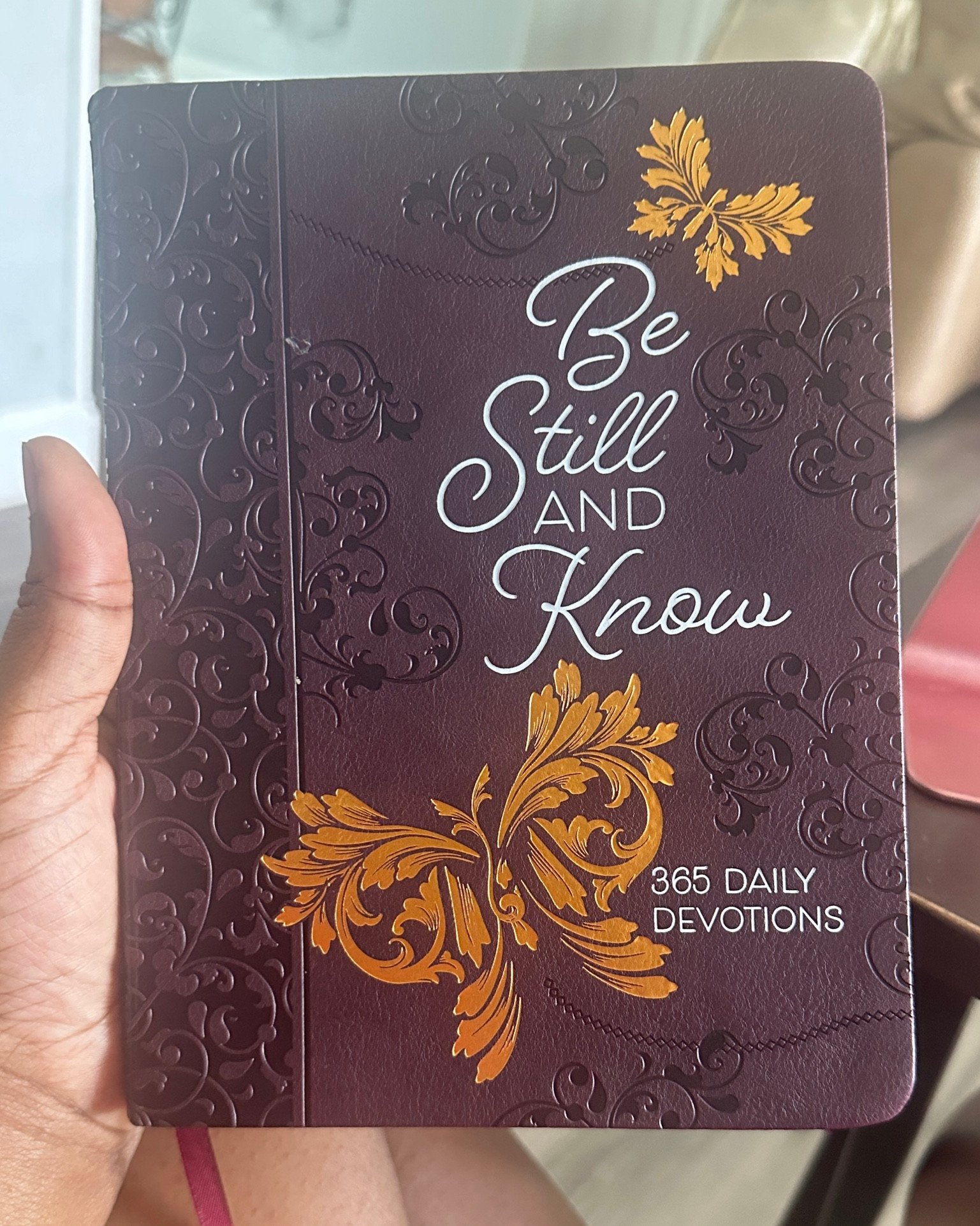 365 day devotional! I read this every morning 🫶🏾

#LTKfindsunder50 #LTKfindsunder100