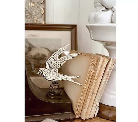 var hasVideo=false,hasOnAirVideo=false,defaultToVideo=true,thumbUrl="";



	
		
			
	
		Magnify I... | QVC