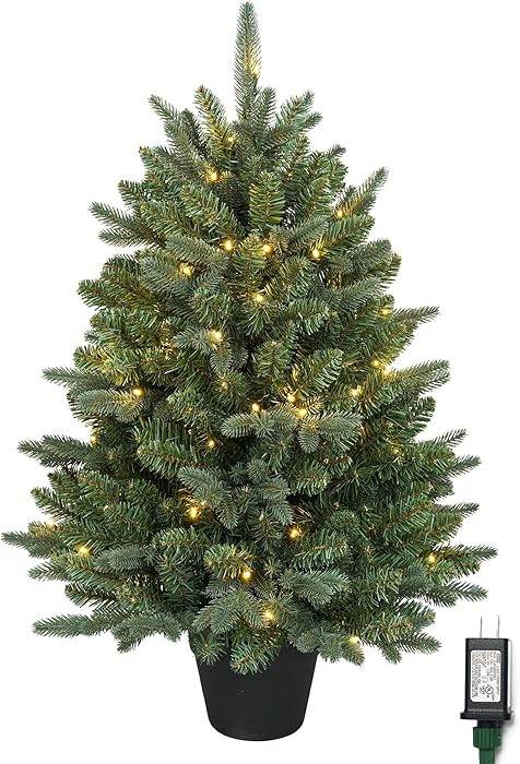 HomeKaren | Amazon (US)