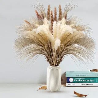 Pampas Grass 15 Pcs Dried Flower Ideal for Flower Arrangements | Bed Bath & Beyond