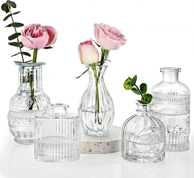 Fixwal Set of 5 Bud Vases, Small Vase for Flowers, Glass Vase for Home Decor, Wedding Decorations... | Amazon (US)