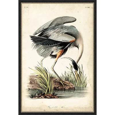 'Great Blue Heron' Framed Graphic Art Print | Wayfair North America