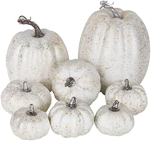 Artmag 8 Pcs Assorted Sizes Harvest Silver Artificial Pumpkins for Fall Halloween Thanksgiving Decor | Amazon (US)