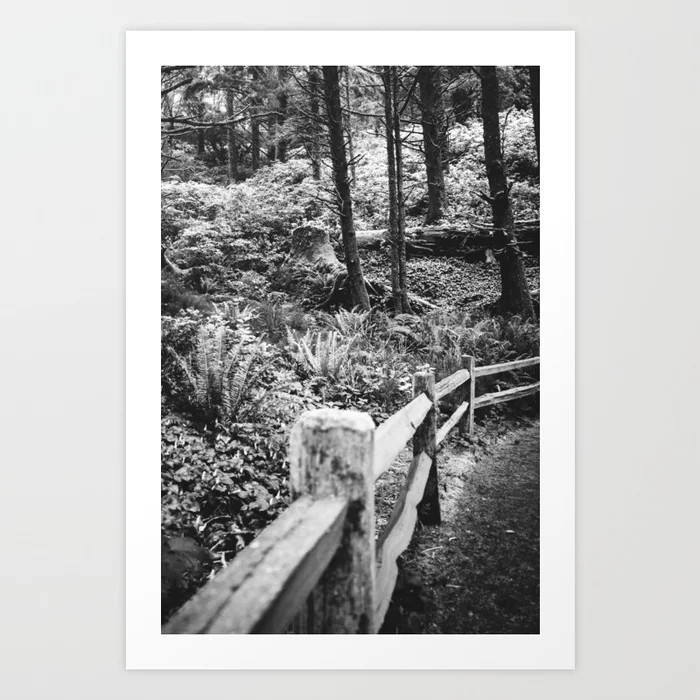 Oregon Coast Forest Art Print | Society6